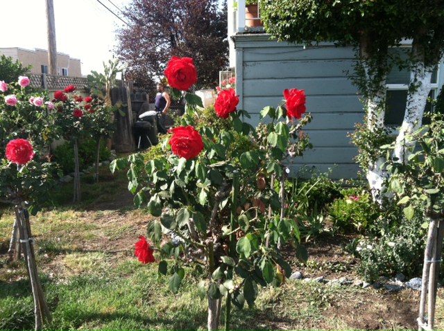 photo-7