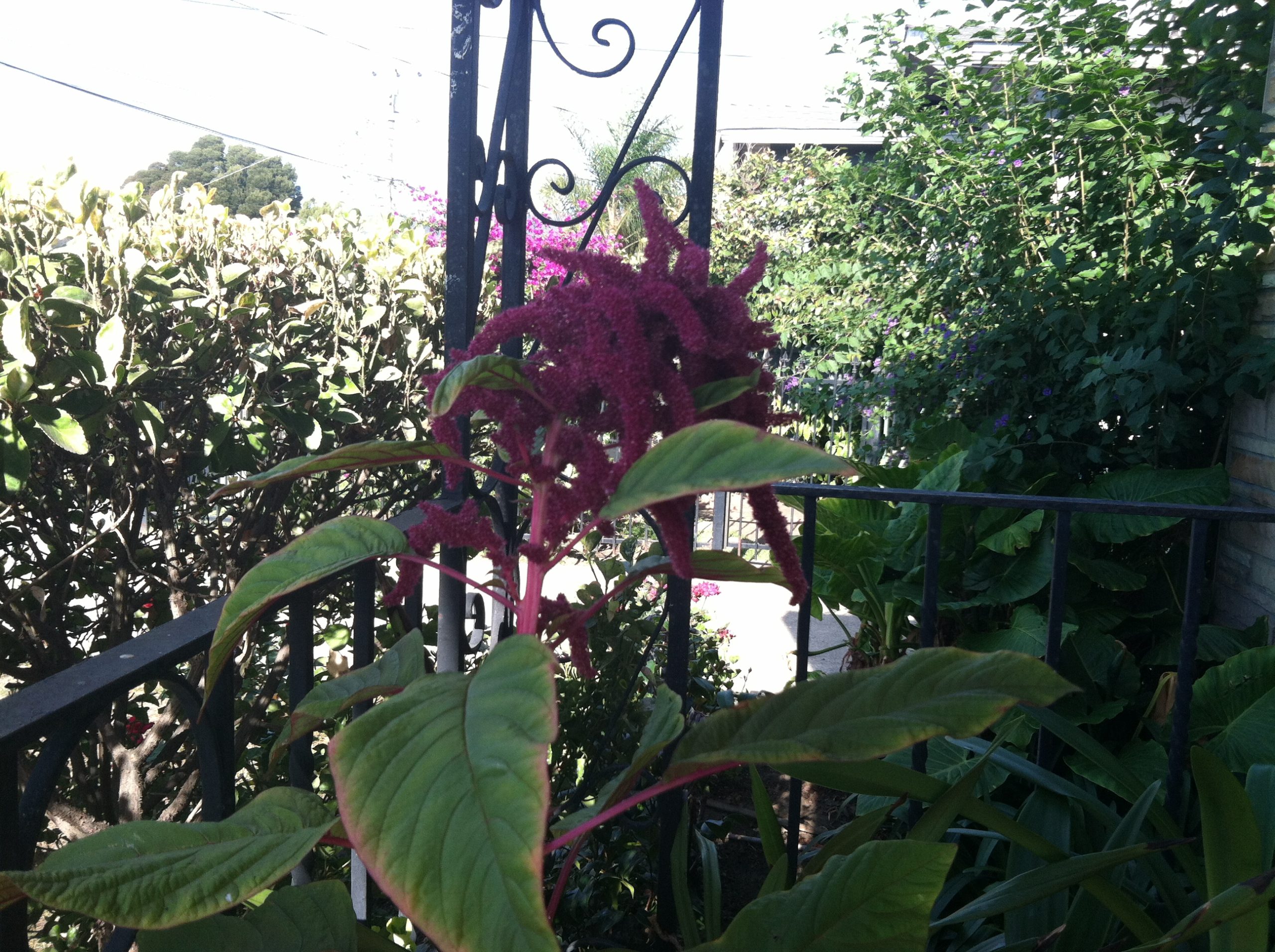 photo-6