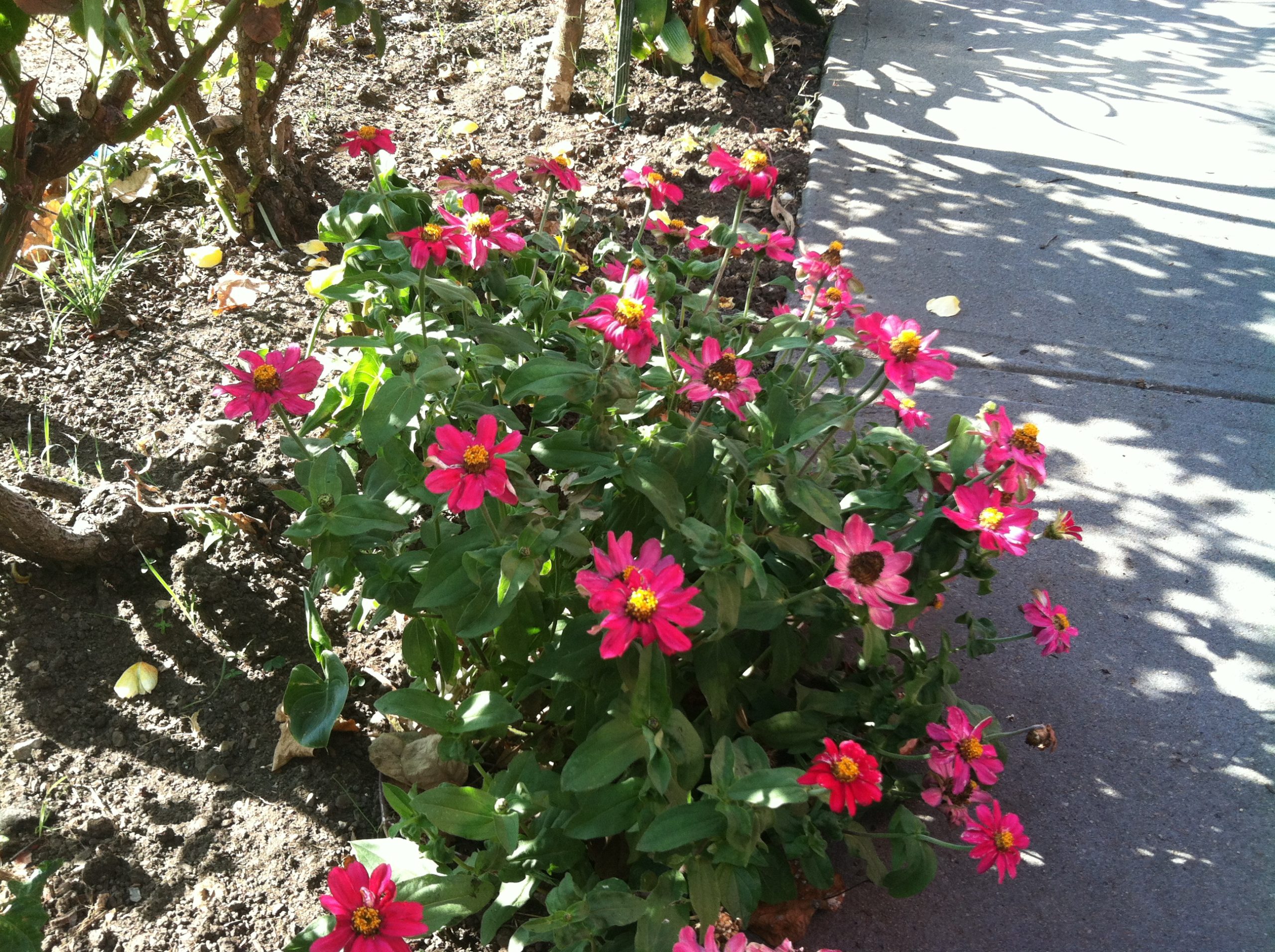 photo-5