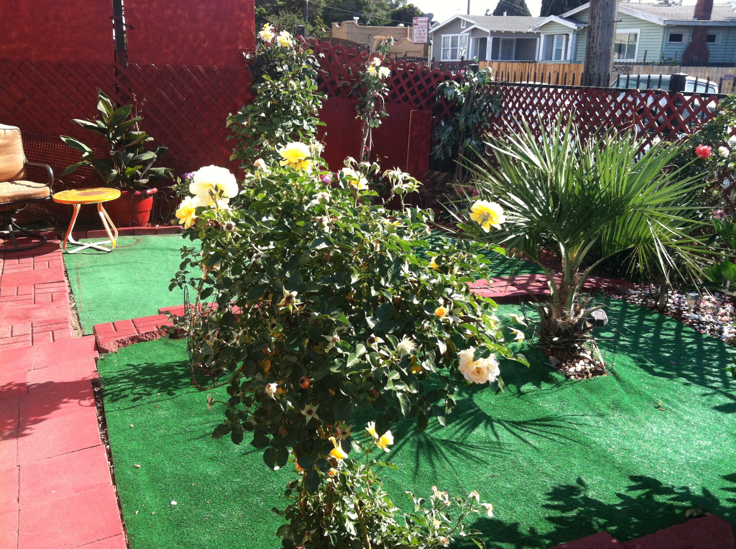 photo-4