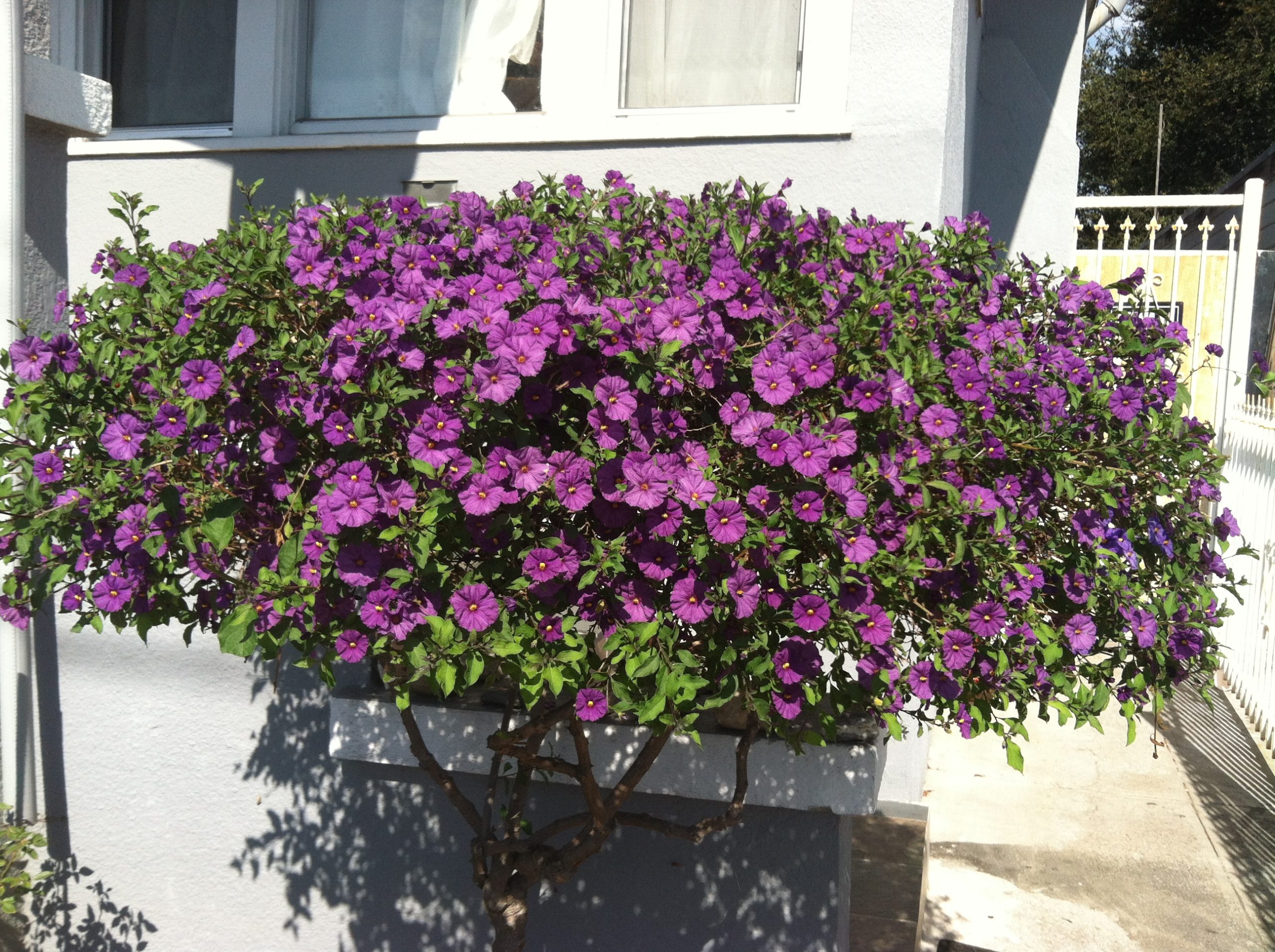 photo-2