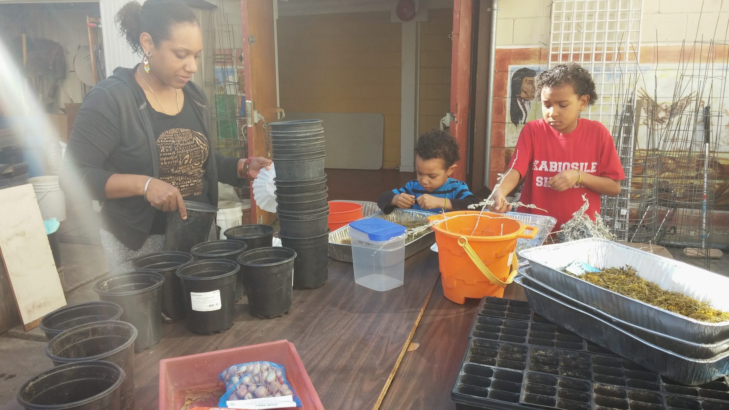 Trimming leaves and potting seedlings at IFH