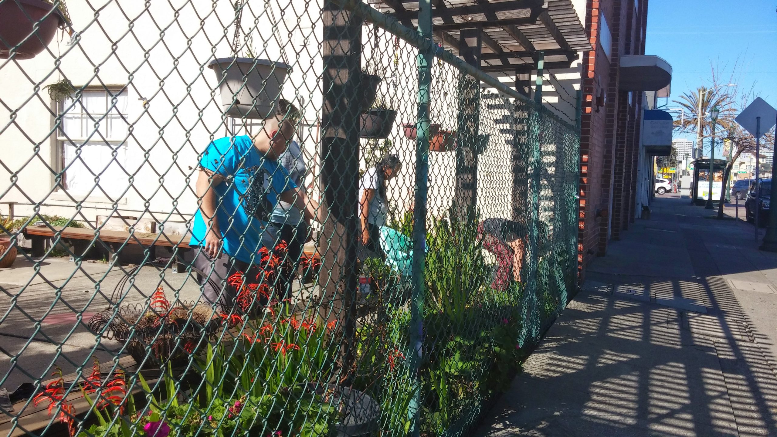 readying the garden for spring at IFH
