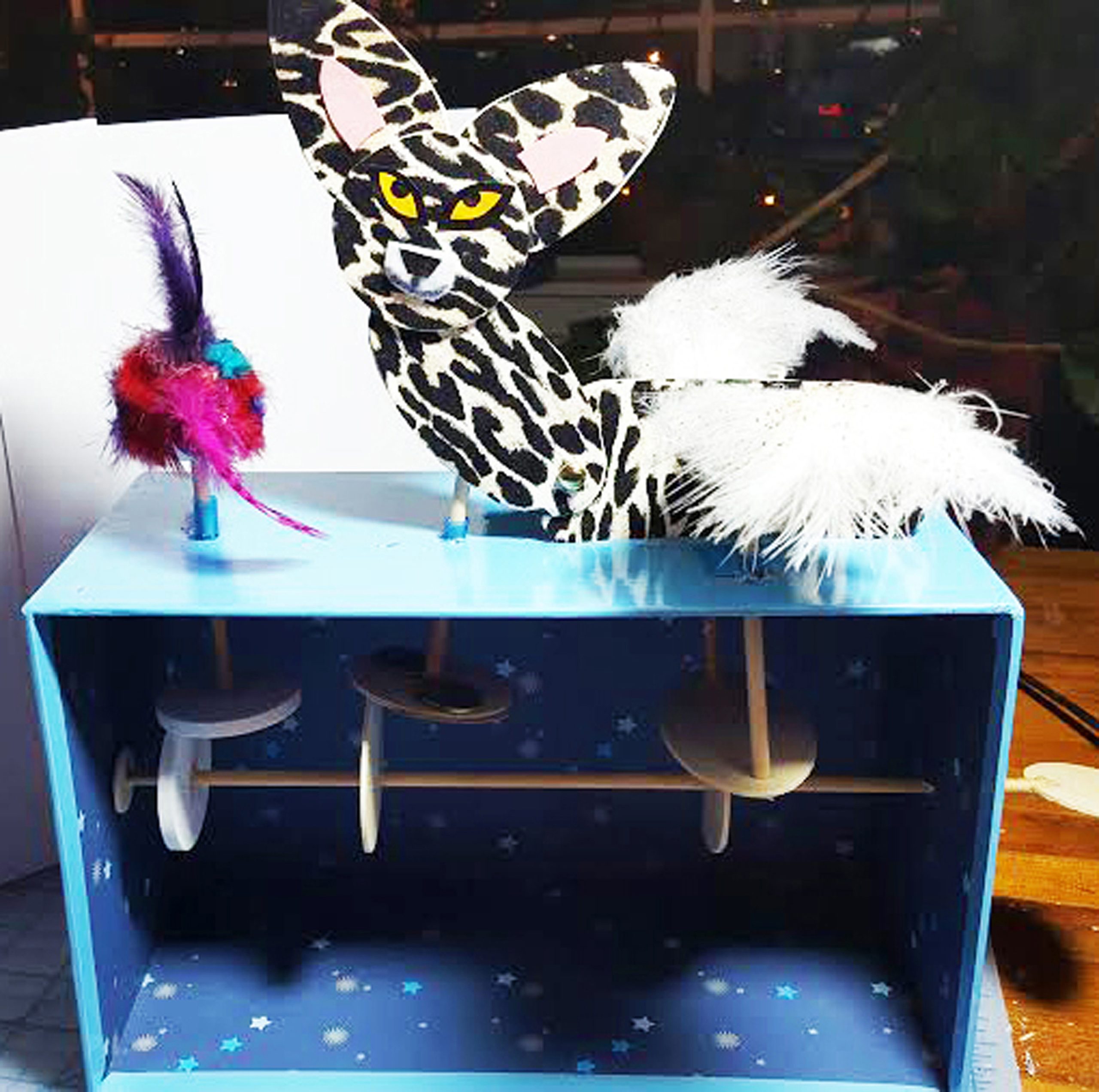 Paula's Mitchell Moving Cheetah