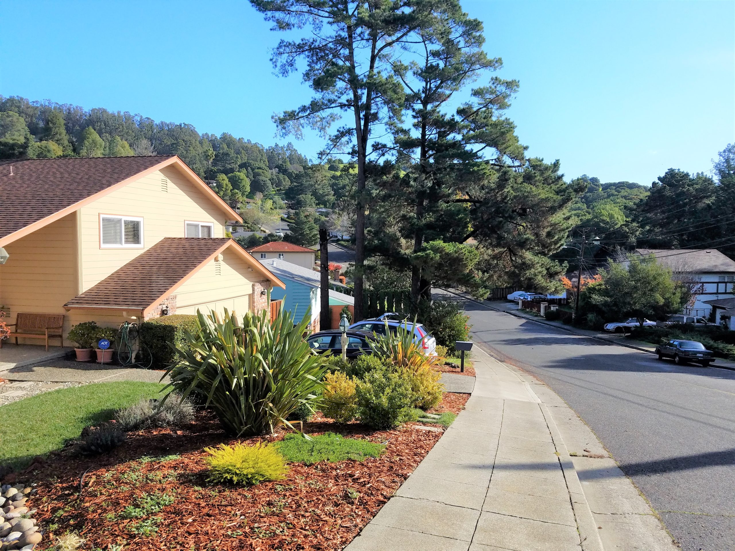 drought-tolerant-landscape