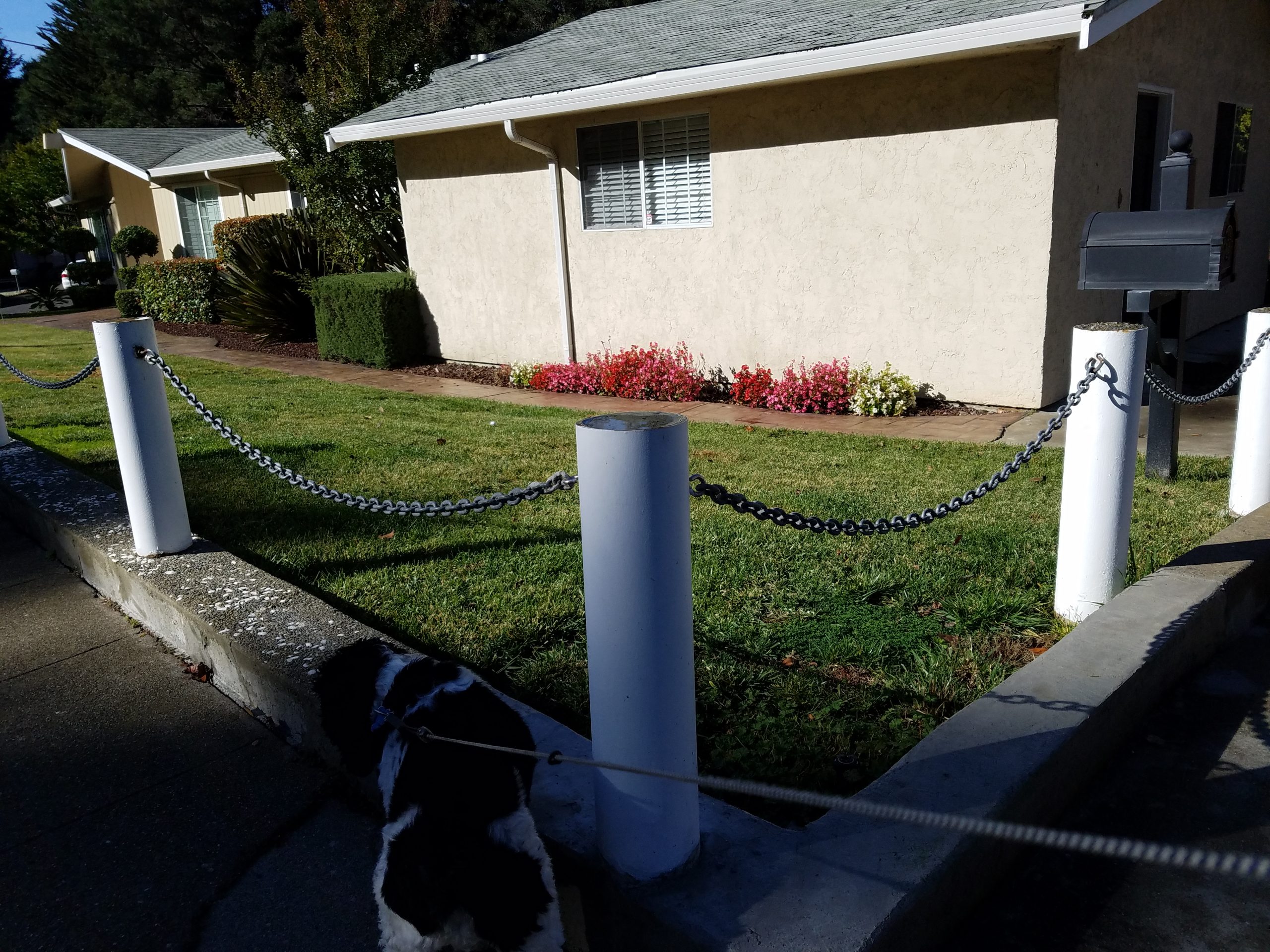 steel-post