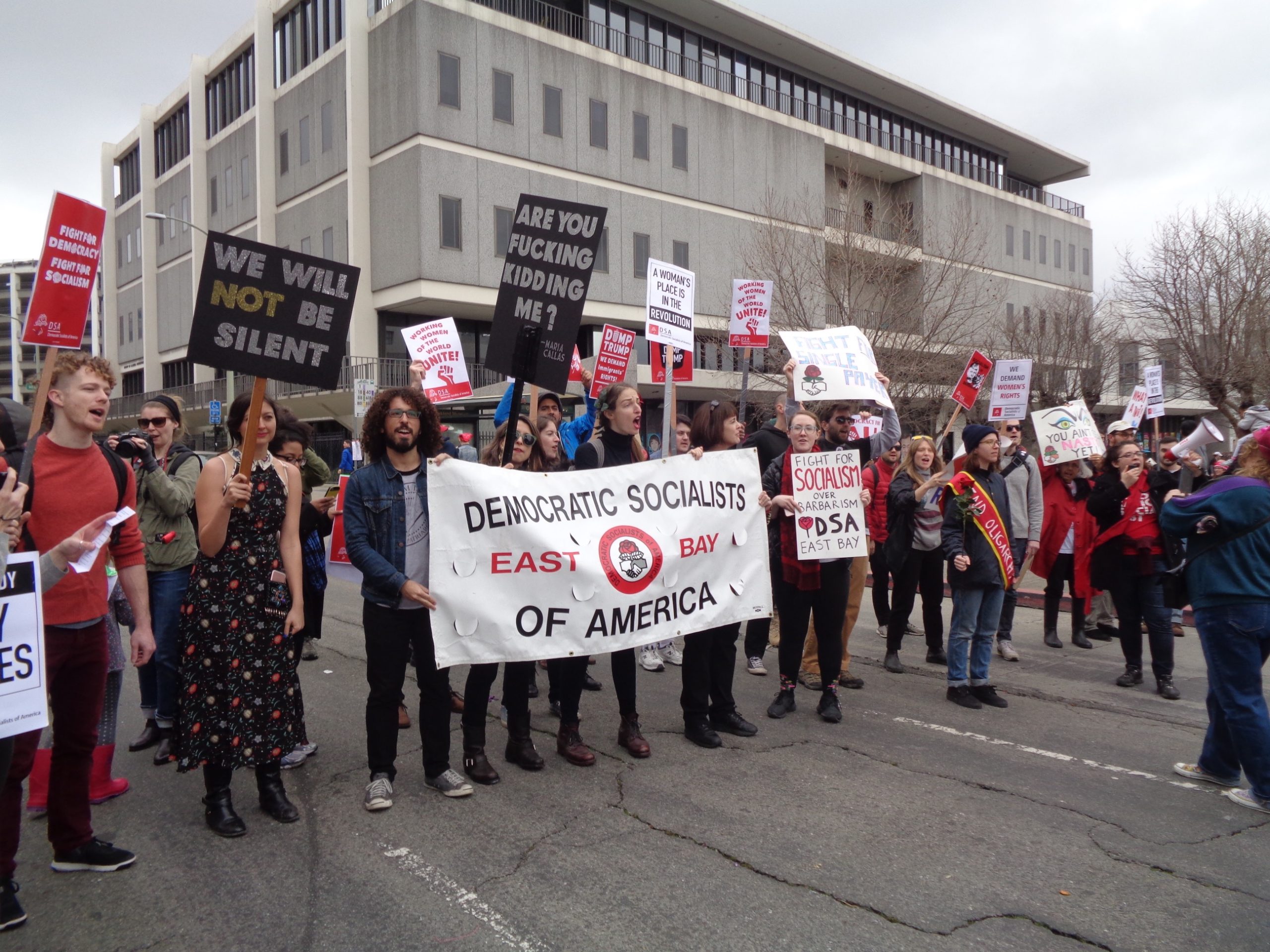 Democratic Socialists & banner