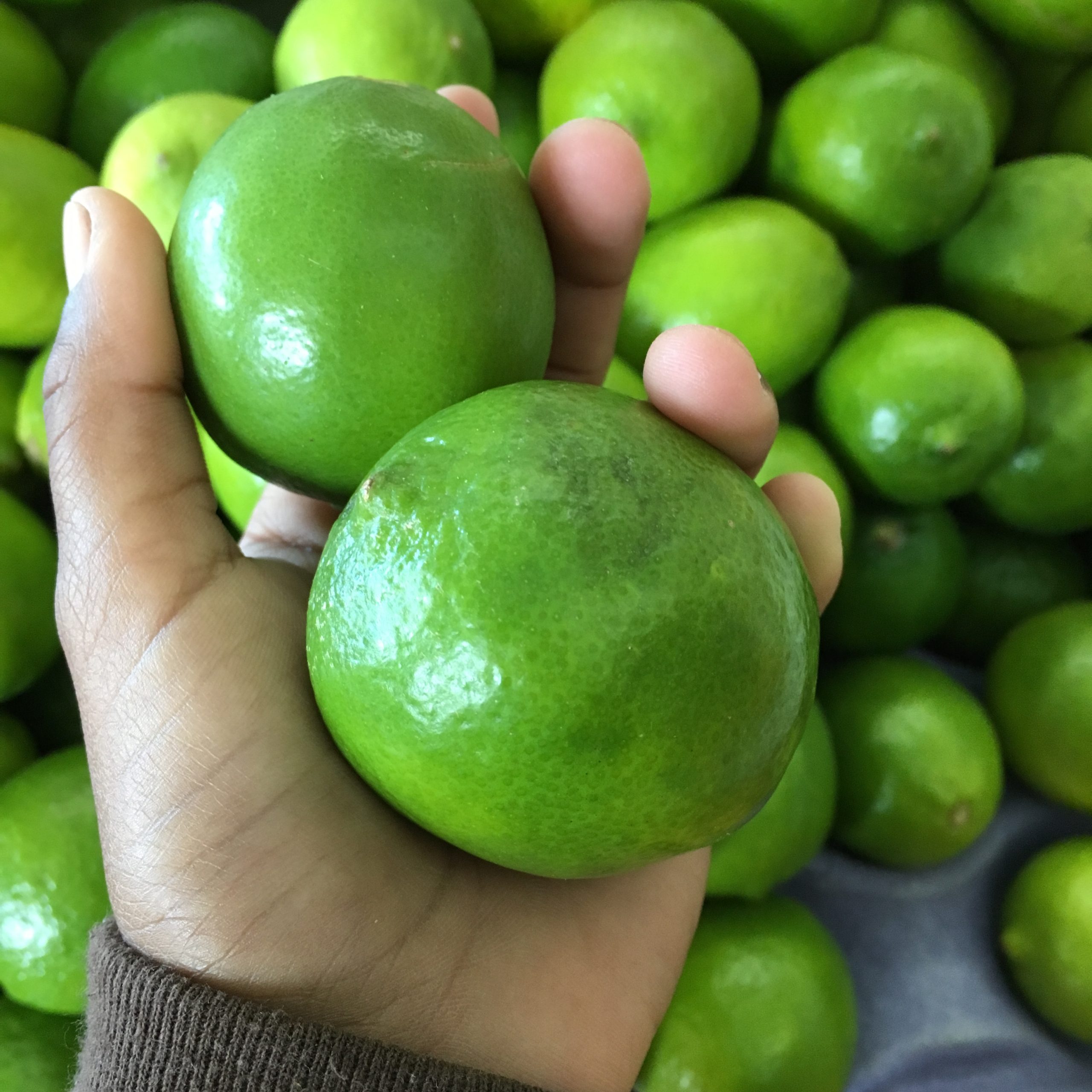 A brown hand holds bright, beautiful green limes with bunches more in the background.