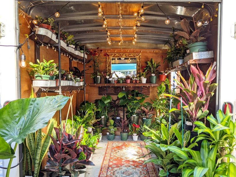 the back of a trailer is filled with beautiful plants and a green grassy rooftop