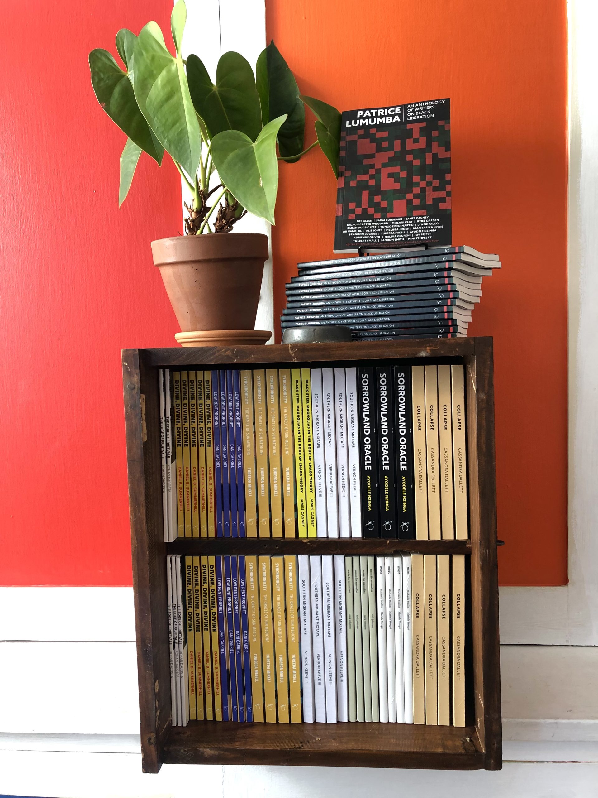 a small bookshelf is filled with new books of poetry and literary arts against a bright red painted wall