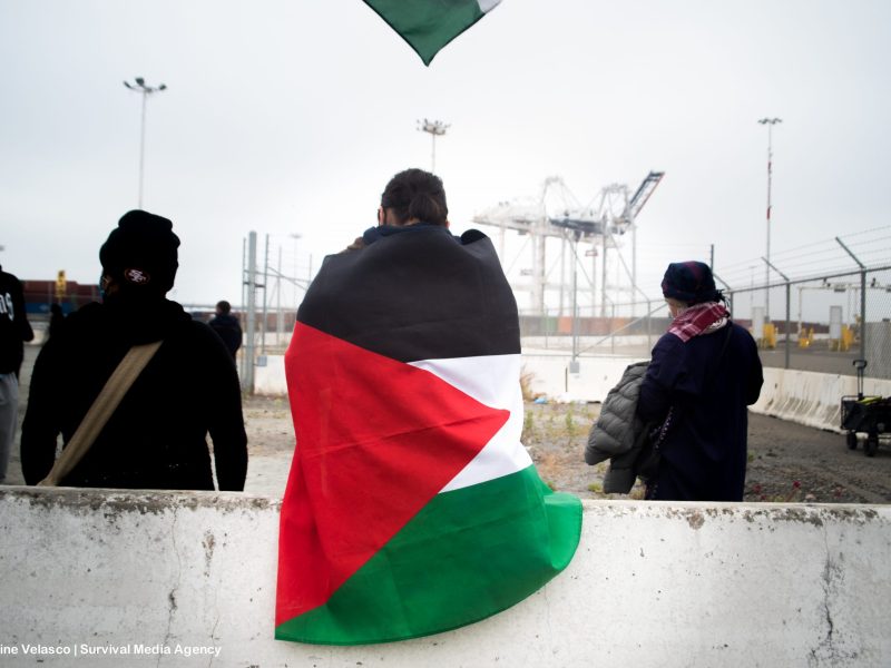 A Palestinian flag with red, green, and white triangles is wrapped around a person's back, with the Port of Oakland's cranes in the background
